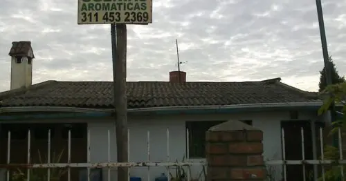VENTA DE PLANTAS CRA 6 CAJICA VENTA DE PLANTAS CRA 6 CAJICA
